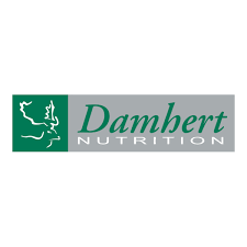 Damhert