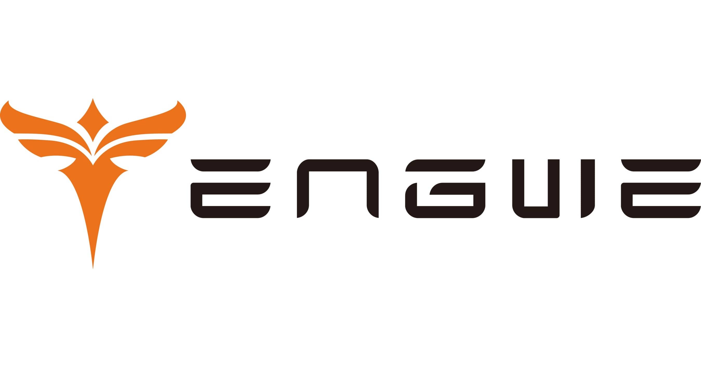 Logo van ENGWE