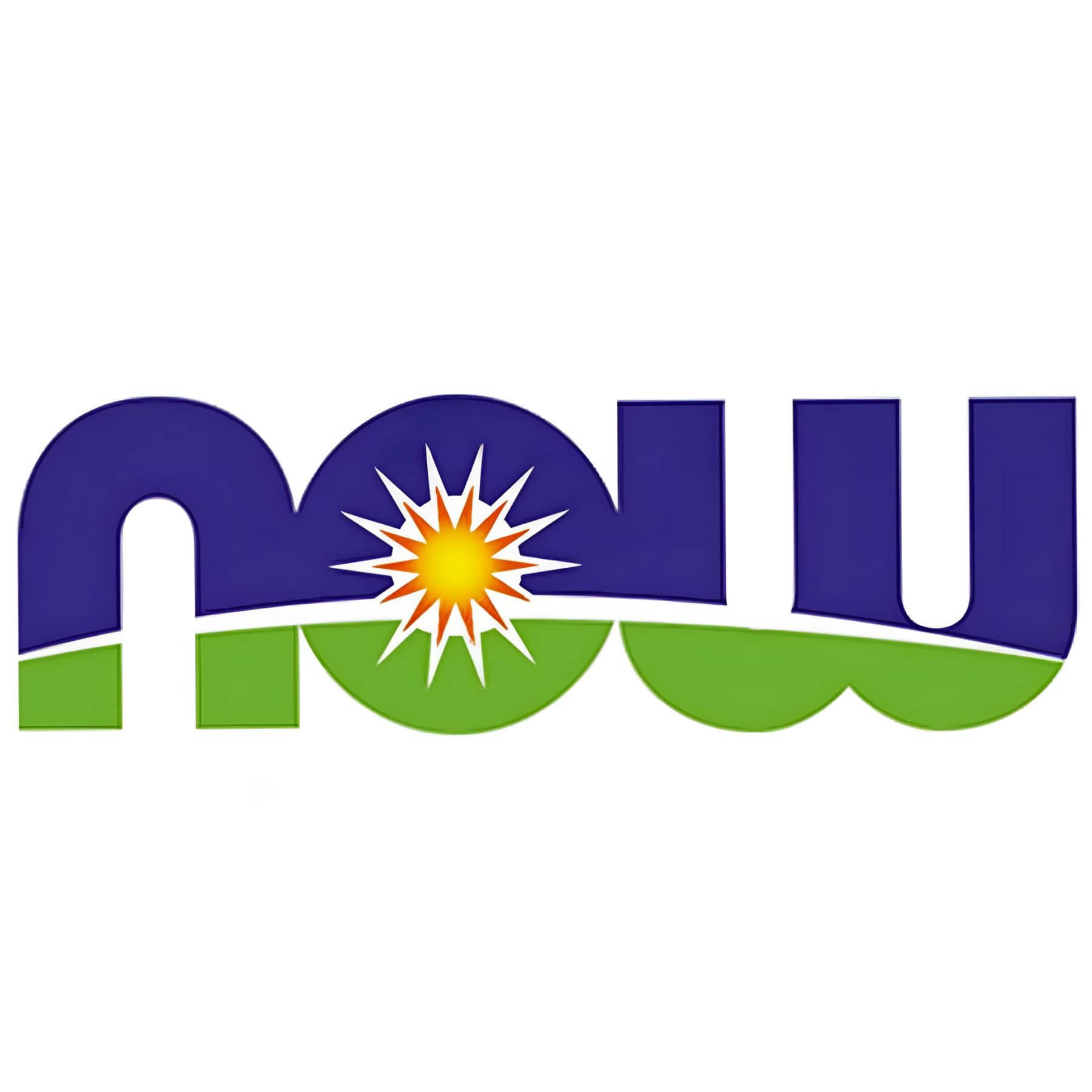 Logo van NOW FOODS
