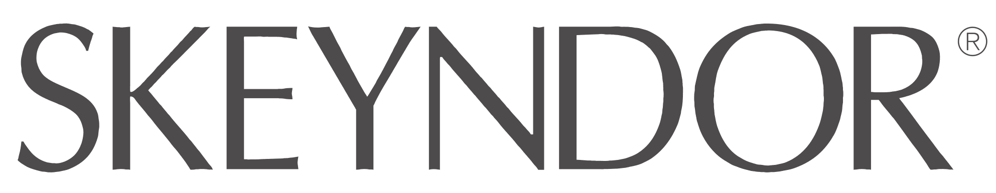 Logo de SKEYNDOR