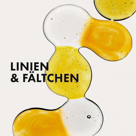 Linien & Faeltchen
