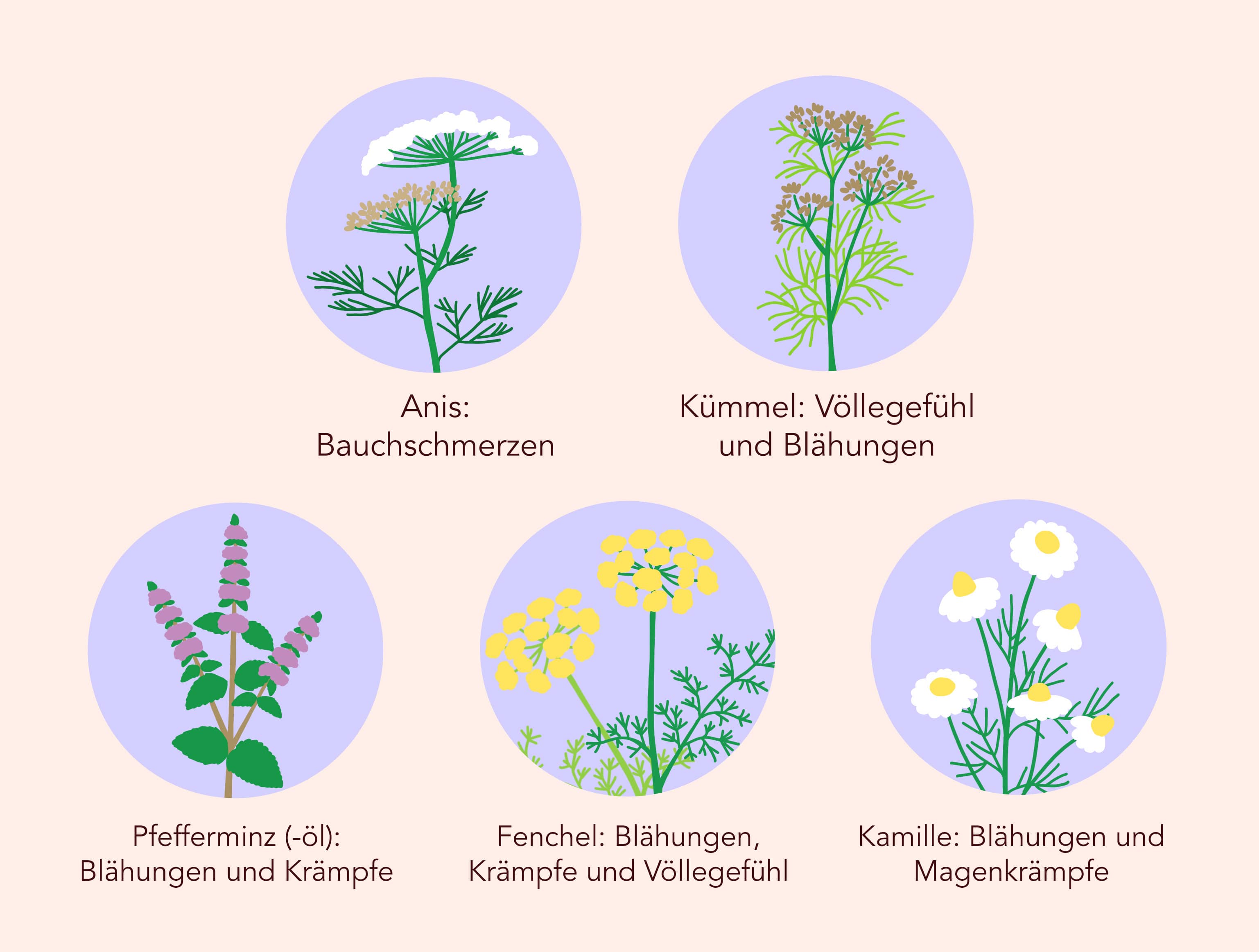 Pflanzliche Mittel gegen Reizdarm