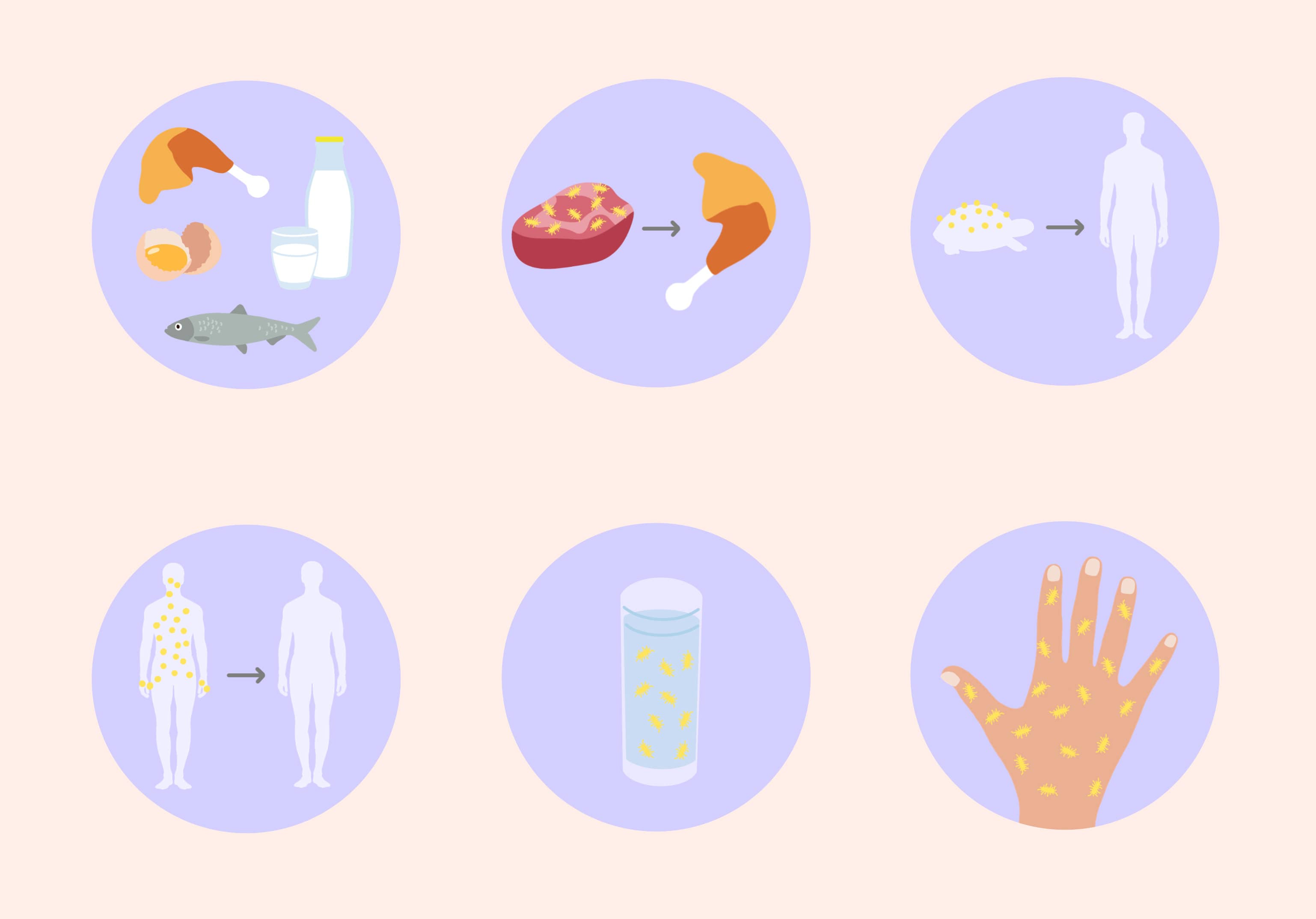 salmonellabesmetting oorzaak