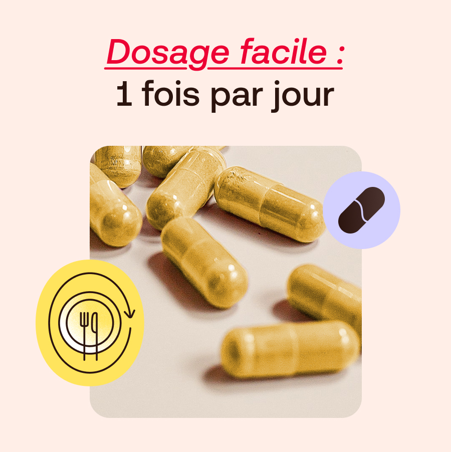 Gélules. Texte : Dosage facile : 1 fois par jour. Symboles : fourchette, gélule.