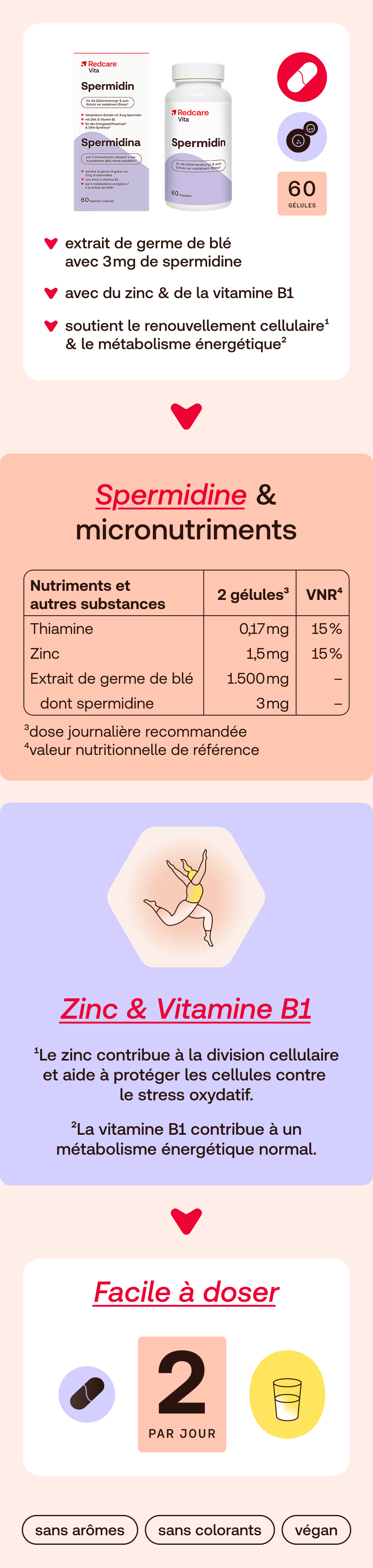 Infographie. Contient des informations sur la spermidine et les micronutriments, le zinc et la vitamine B1 et le dosage.