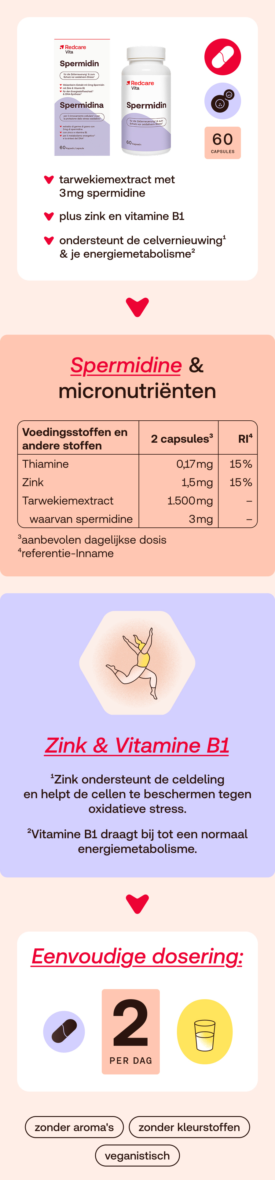 Infographic. Bevat informatie over spermidine en micronutriënten, zink & vitamine B1 en dosering.